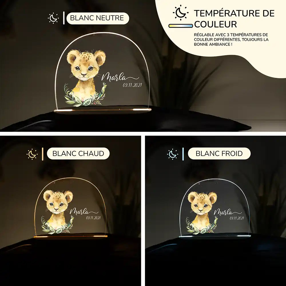 Veilleuse enfant personnalisée Petit lion – raccordement par câble USB fourni