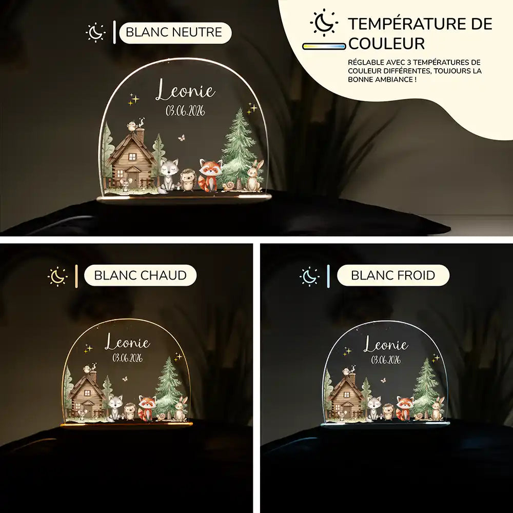 Veilleuse enfant personnalisée Petits amis de la forêt – raccordement par câble USB fourni