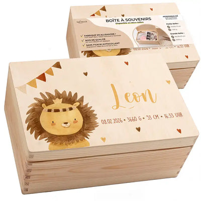 Petit lion